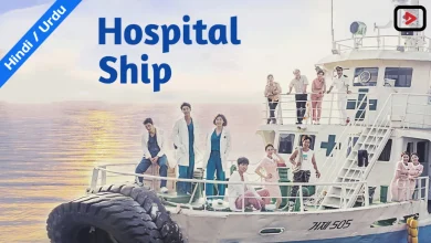 Hospital Ship