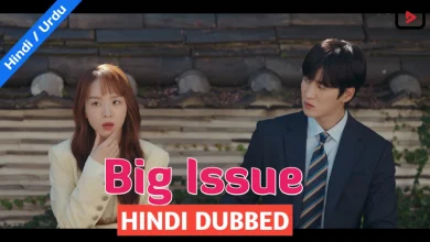 Big Issue