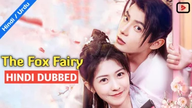 The Fox Fairy